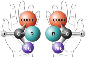 Life chemistry frequently uses only the right or left handed variety of a molecule, even though they perform exactly the same chemistry.