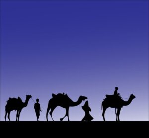 The magi were following the Christmas Star in search of a new born King of Israel.